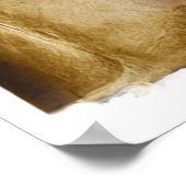 Oude piraten kaart poster (Hoek)