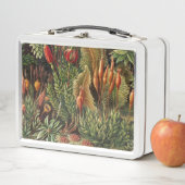 Oude Plantenleven (In situ)