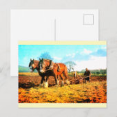 Oude ploeglandbouw briefkaart (Voorkant / Achterkant)
