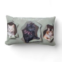 Oude poesjes die door cadeaupapier breken schattig