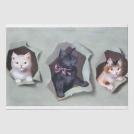 Oude poesjes die door cadeaupapier breken schattig tissuepapier