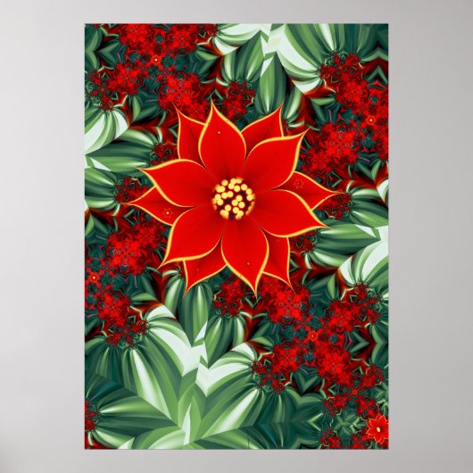 Oude Poinsettia Poster (Voorkant)