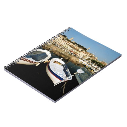 Oude poort notitieboek (Linkerzijde)