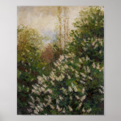 Oude Poster van Bosrand Wilde Bloemen (Voorkant)