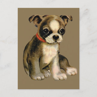 Oude Puppy Ansichtkaart Briefkaart