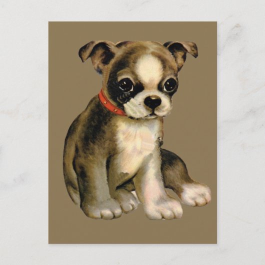 Oude Puppy Ansichtkaart Briefkaart (Voorkant)