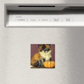 Oude-Ragdoll Halloween-kat Magneet (Insitu (Vaatwasser))