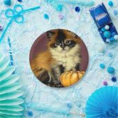 Oude Ragdoll Halloween Kat Papieren Bordje (Feest)