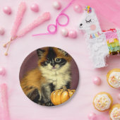 Oude Ragdoll Halloween Kat Papieren Bordje (Feest)