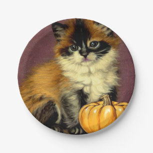 Oude Ragdoll Halloween Kat Papieren Bordje