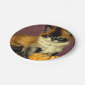 Oude Ragdoll Halloween Kat Papieren Bordje (Gekanteld)