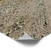 Oude  Rat Rod Pickup Truck Zombie Driver Poster (Hoek)