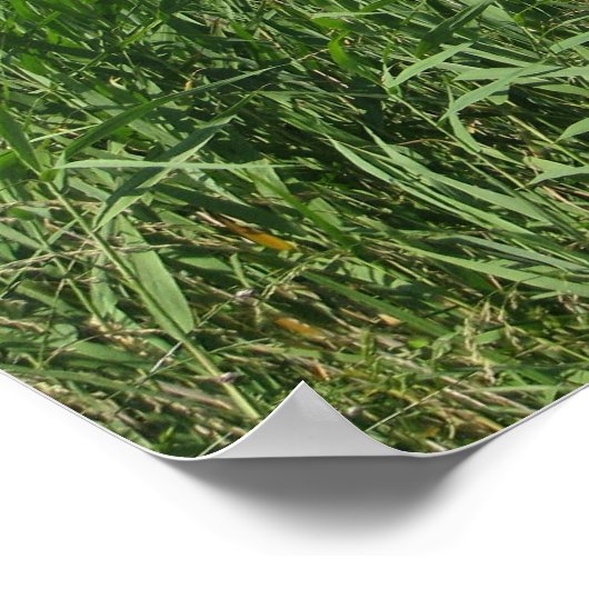 Oude reddingspost Buiten de Banken NC Poster (Hoek)