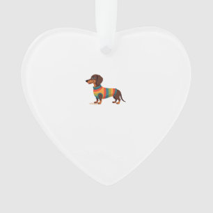 Oude regenboog trui Das cute lange hond Il Ornament