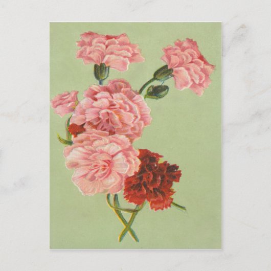 Oude Retro Rozen Ansichtkaart Briefkaart (Voorkant)