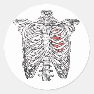 Oude ribbenkast- en hartanatomie Halloween Ronde Sticker