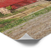 Oude Rode Barn met Paarden Kleur 16x20 Poster (Hoek)