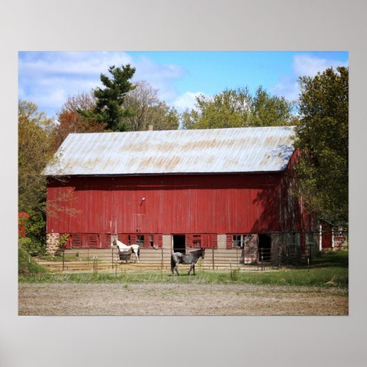 Oude Rode Barn met Paarden Kleur 16x20 Poster (Voorkant)