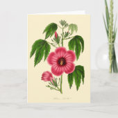 Oude rode en roze bloemillustratie kaart (Voorkant)