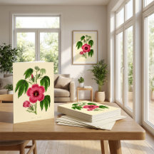 Oude rode en roze bloemillustratie