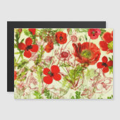 Oude rode groene klaprozen zomer wilde bloemen (Voorkant / Achterkant)