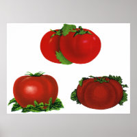 Oude rode rijpe tomaten eten, fruit, groenten