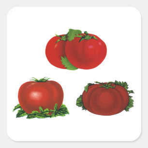 Oude rode rijpe tomaten eten, fruit, groenten vierkante sticker