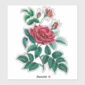 Oude rode roos sticker (Vel)