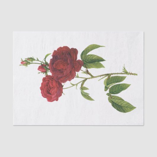 Oude Rode Rozen #1 Bloemen Bloemig Tissuepapier (Voorkant)