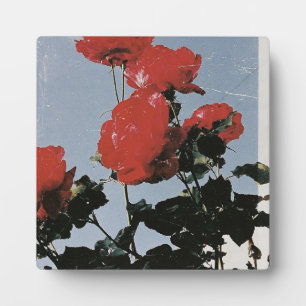 Oude rode rozen tegen een blauwe lucht fotoplaat