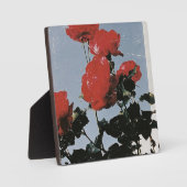 Oude rode rozen tegen een blauwe lucht fotoplaat (Voorkant)