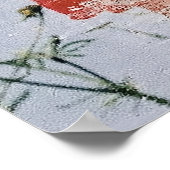 Oude rode rozen tegen een blauwe lucht poster (Hoek)