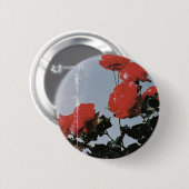 Oude rode rozen tegen een blauwe lucht ronde button 5,7 cm (Voorkant /achterkant)