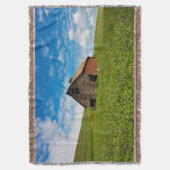 Oude, rode schuur in veld met kikkererwten deken (Voorkant Verticaal)