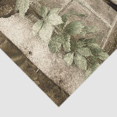 Oude roestige houten schuur ramen tissuepapier (Detail)