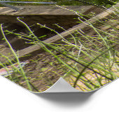 Oude Romeinse Aquaduct Poster (Hoek)