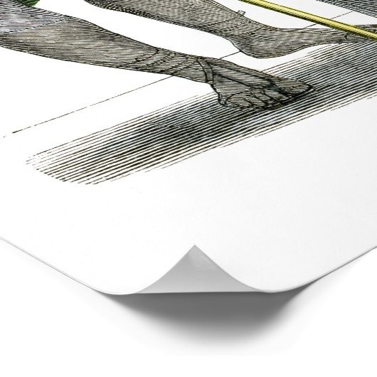 Oude Romeinse keizer Poster (Hoek)