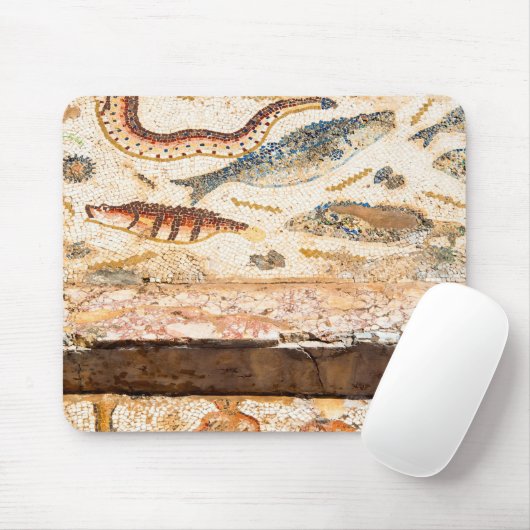 Oude Romeinse mozaïek Muismat (Met muis)