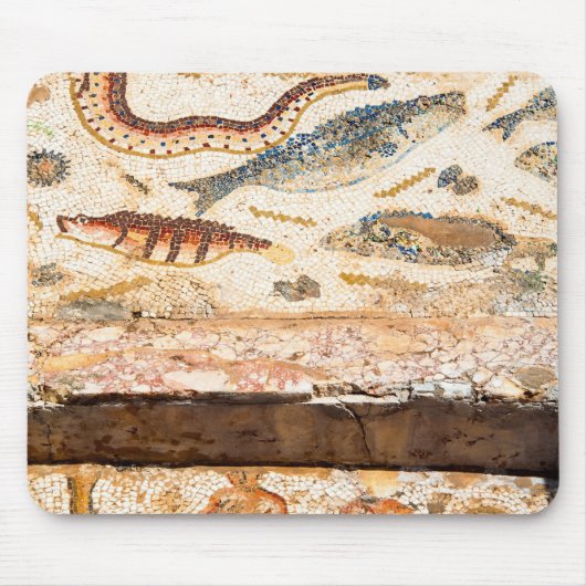 Oude Romeinse mozaïek Muismat (Voorkant)