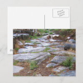 Oude Romeinse weg in de stad Ephesus, Turkije Briefkaart (Voorkant / Achterkant)