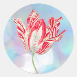 Oude Rood Tulpen Stickers