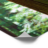 Oude roodroodbomen poster (Hoek)