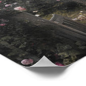 Oude roos voor Engelstalige huisjes -  kunst Poster (Hoek)