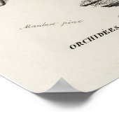 Oude Roze Cattleya Orchidee Botanische Poster (Hoek)