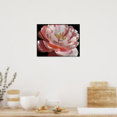 Oude roze roze roze roze Poster afdrukken (Keuken)