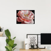 Oude roze roze roze roze Poster afdrukken (Thuiskantoor)