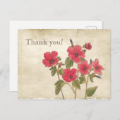 Oude Roze Wilde Bloemen Bedankt Briefkaart (Voorkant / Achterkant)