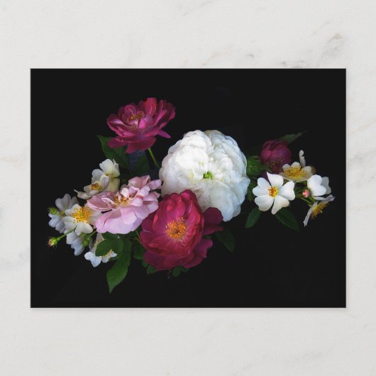 Oude rozen briefkaart (Voorkant)