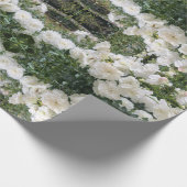 Oude rozen cadeaupapier (Hoek)