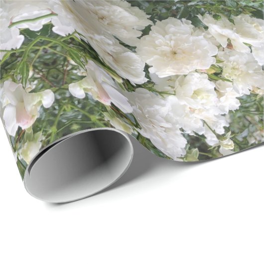 Oude rozen cadeaupapier (Rol Hoek)